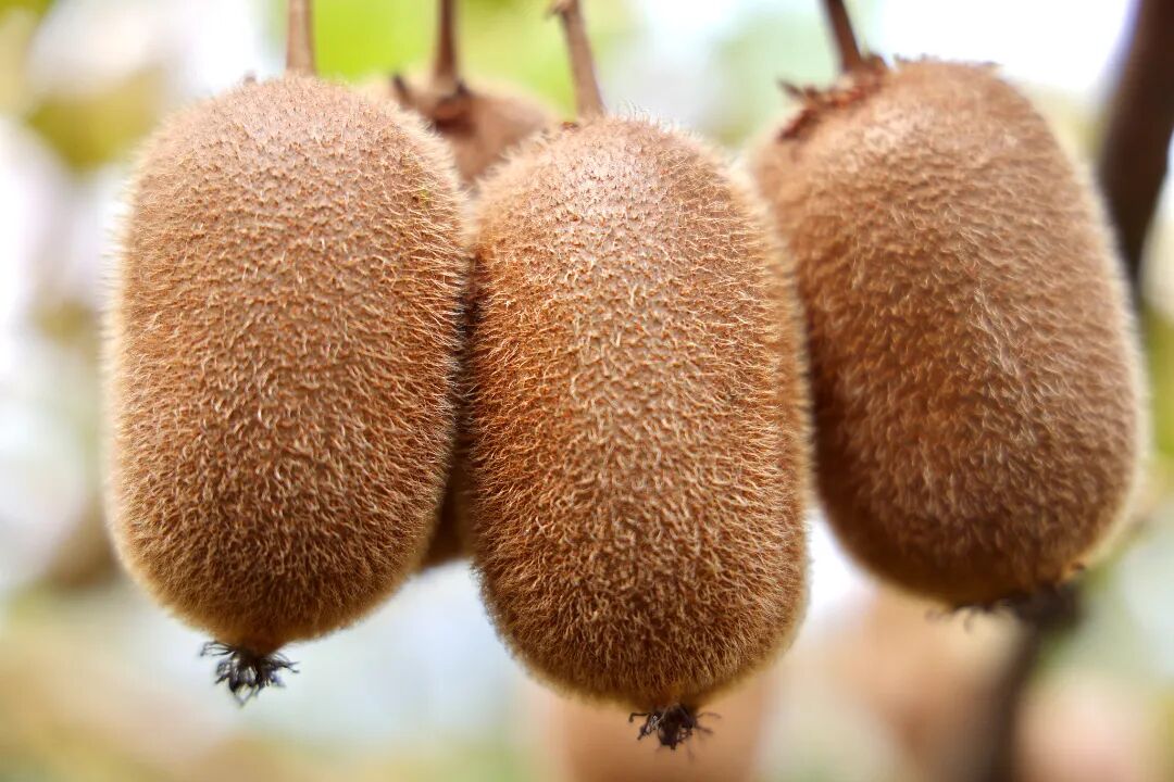 4a0102f003d0eecffcf98fd78838be33.jpg 4a0102f003d0eecffcf98fd78838be33.jpg