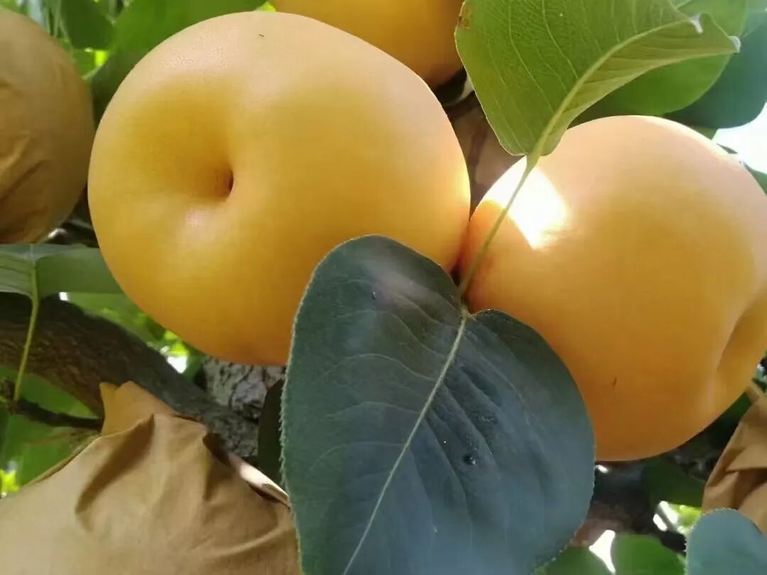 b0dd67a2be0ebddfb5686ebe203e2c09.jpg b0dd67a2be0ebddfb5686ebe203e2c09.jpg